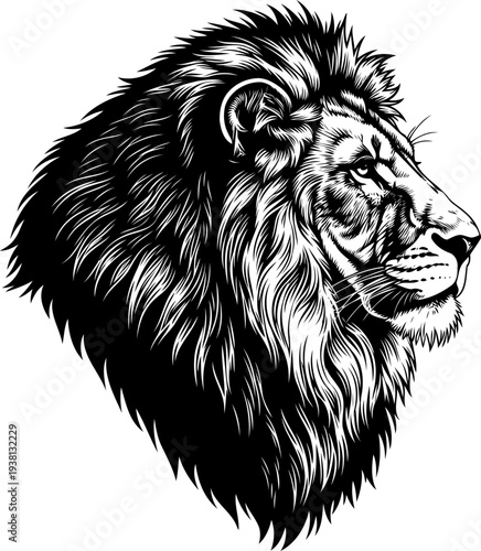 Majestic lion head looking sideways with detailed mane engraving