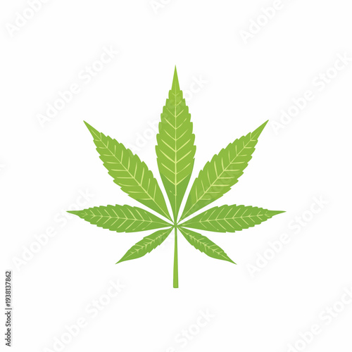 Green cannabis leaf illustration, isolated on white background, vector graphic