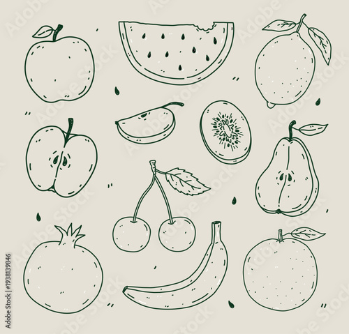 Hand-drawn fruits set with apple, watermelon, lemon, kiwi, cherry, pear, pomegranate, banana and orange. Organic farm food vector illustration in outline style. Perfect for menu, recipes.