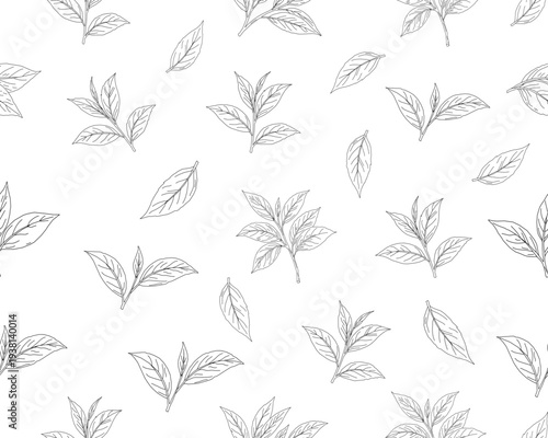 Hand drawn tea leaves seamless pattern. botanical herbal leaf background. minimal line art tea foliage texture. organic tea plant illustration repeat pattern.