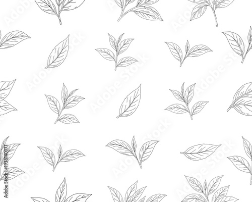 Hand drawn tea leaves seamless pattern. botanical herbal leaf background. minimal line art tea foliage texture. organic tea plant illustration repeat pattern.