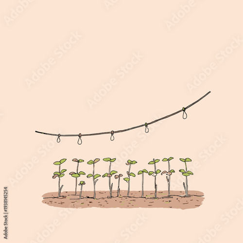 Overhead Drip Irrigation Emitter on Seedlings