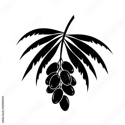 Branch of Olives with Leaves Vector Icon
