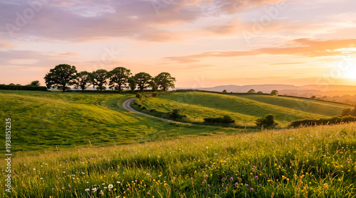 Golden Hour Embrace: The soft glow of sunset bathes a picturesque countryside scene, where rolling green hills gently undulate towards the horizon. A meandering road guides the eye.