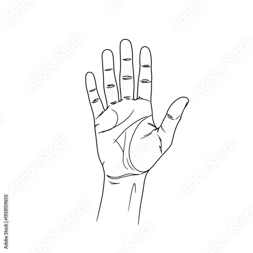 Human hand with palm up and fingers apart