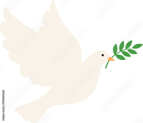 Peaceful white dove flying with olive branch in beak