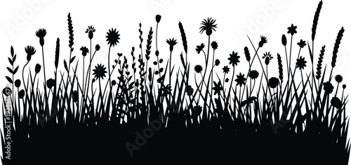 Wildflower meadow and grass field silhouette vector illustration, decorative floral border elements for nature landscape design