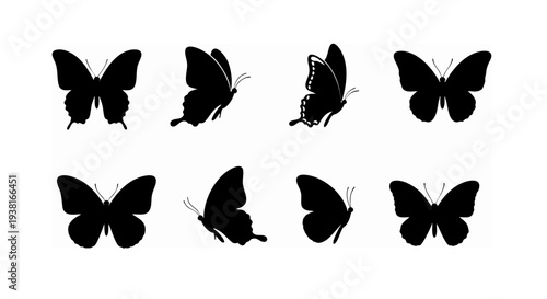set of vector butterflies