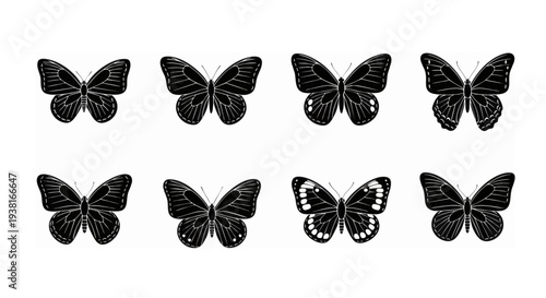 set of butterflies