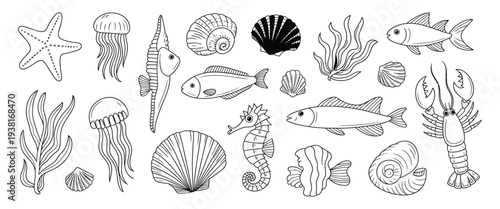 marine wildlife doodle coral, starfish and shell seahorse and mollusk, lobster and seaweed jellyfish fish cute aquarium, hand drawn isolated ocean animals nautical sketch vector set, decorative emblem