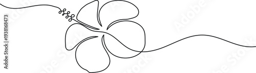 Hibiscus flower continuous one line art drawing minimalist style