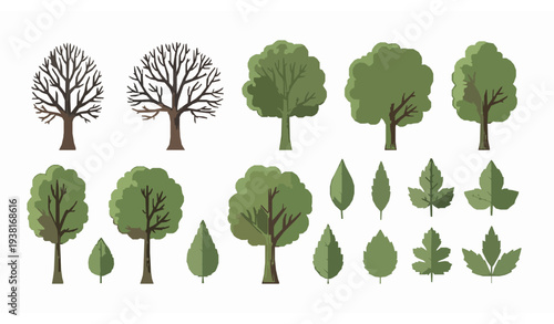 Hand drawn botanical trees and leaves vector collection with bare branches and lush green foliage
