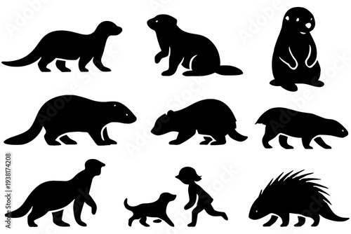 White Background Weasel Silhouettes in Multiple Poses