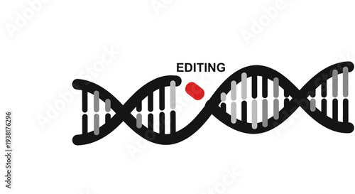 DNA editing concept with a red segment representing modification on a double helix structure