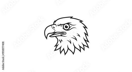 Bald Eagle Head Close Up Profile.