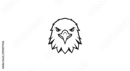 Bald Eagle Head Closeup Portrait.