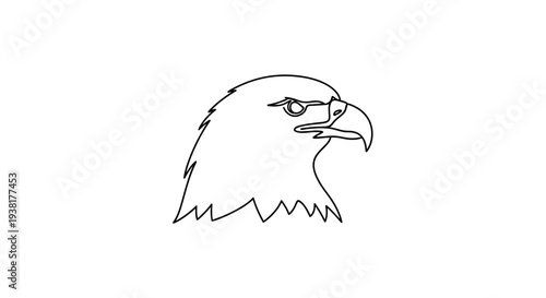 Bald Eagle Head Closeup Profile View.