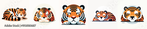 vector of a sleeping tiger