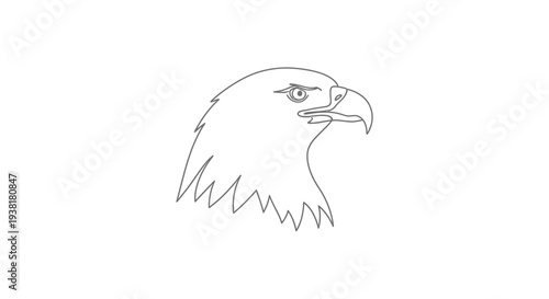 Bald Eagle Head Closeup Profile View.