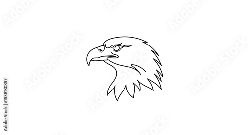 Bald Eagle Head Illustration Profile.