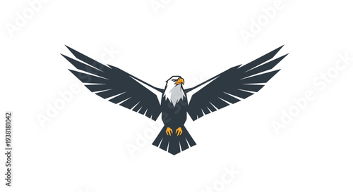 Bald Eagle Soaring with Outstretched Wings.