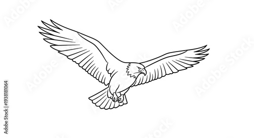 Bird Flying with Outstretched Wings Illustration.