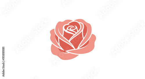 Beautiful Pink Rose Graphic Illustration Art.