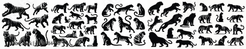vector set image silhouette of a jaguar