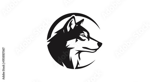 Black and white husky dog head.