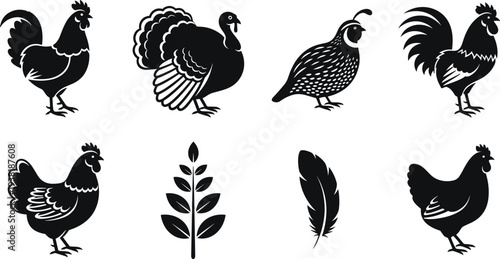 Poultry birds silhouettes collection with rooster chicken turkey quail feather and wheat farm animals black vector illustration set
