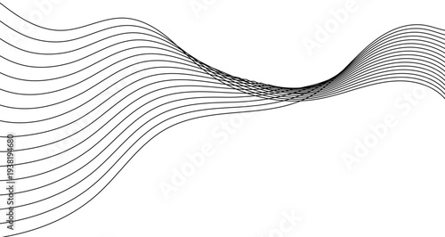 Abstract background with curved parallel black lines on a white background. Thin lines flow and overlap, creating a dynamic wave or ribbon effect. Vector illustration.
