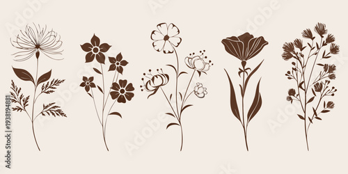 A collection of delicate floral silhouettes in shades of brown