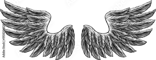 Eagle, angel or similar win...