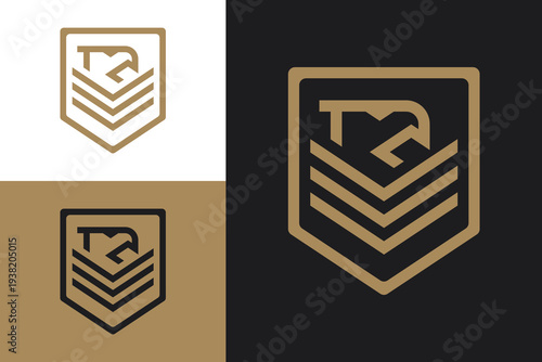 Set of modern elegant royal luxury abstract of eagle bird or falcon with letter V and shield sticker stamp label badge emblem with white black gold color variation logo design inspiration