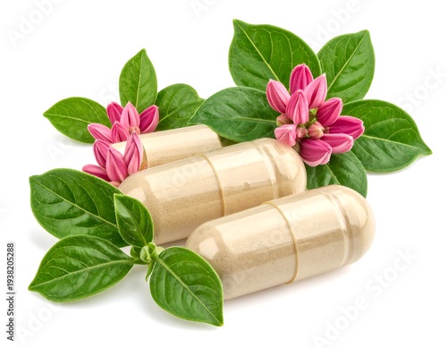 Three capsules nestled among green leaves and small pink flowers, isolated on white
