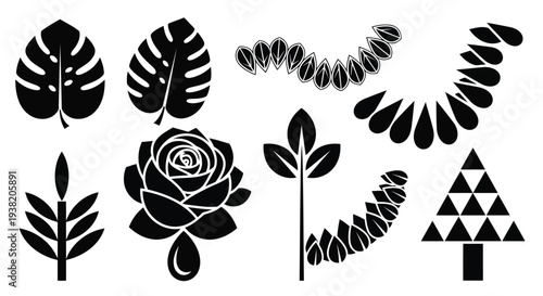 A collection of various types of leaves and flowers in black and white