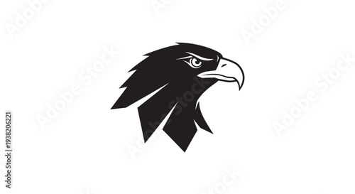 Black eagle head profile view.