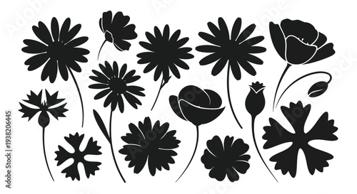A delightful array of various flowers in a charming black and white illustration
