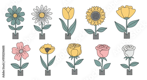 A delightful collection of twelve illustrated flowers in various colors and styles