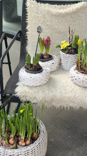 table setting in a garden
