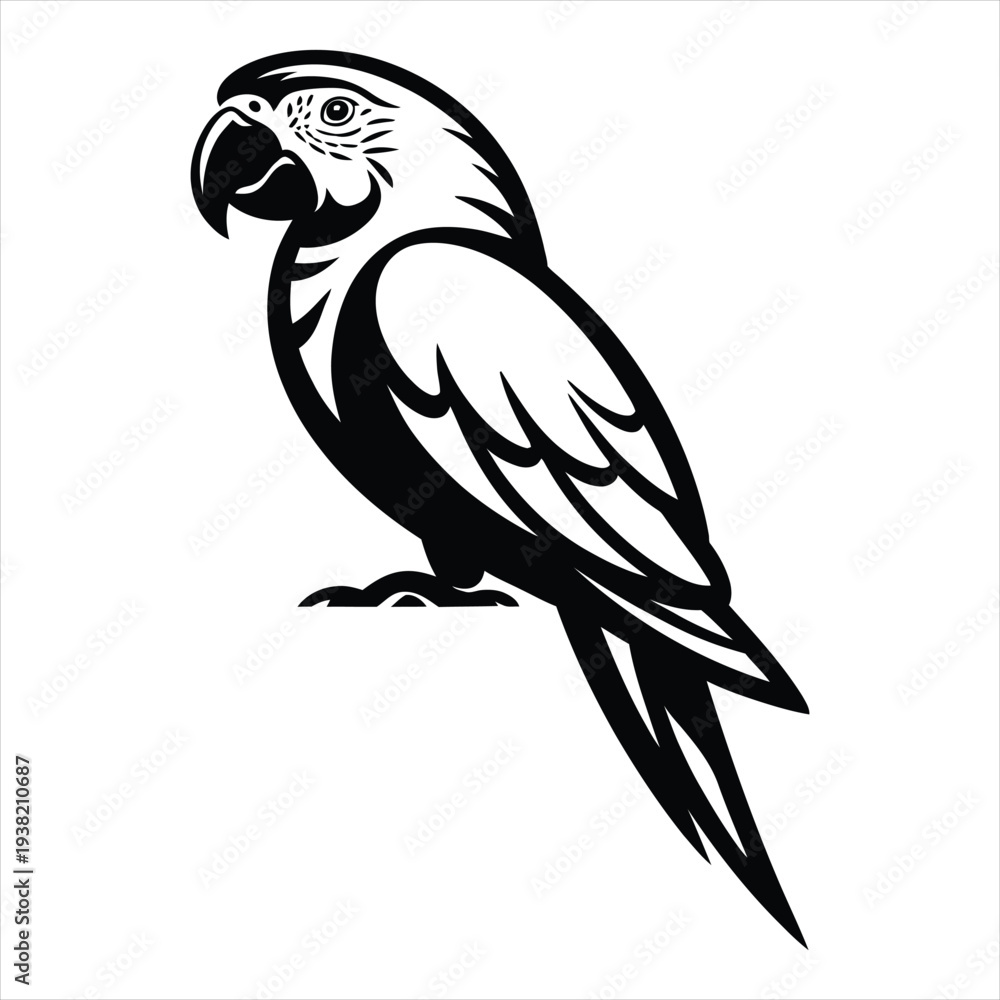 Obraz premium black and yellow macaw