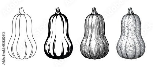 Butternut squash gourd vegetable illustrations featuring different artistic techniques like line art, solid fill, hatching, and stippling.