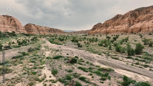 Dry riverbed with sparse vegetation in a rocky desert landscape under clear sky.