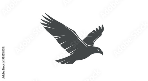 Black silhouette of flying bird eagle.