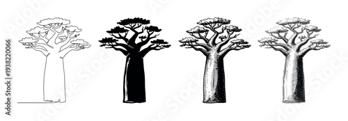 Four distinct baobab trees illustrated in various artistic styles, showcasing different graphic design techniques and interpretations.
