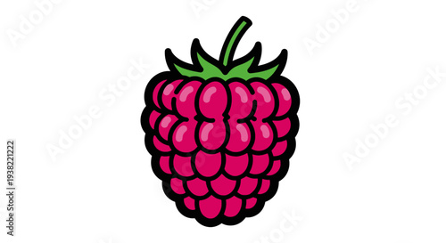 Raspberry Fruit Closeup Illustration.