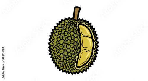 Durian Fruit Cut Open Showing Segments.