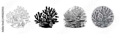 Coral reef marine life illustrations in various artistic styles depicting underwater ecosystems and aquatic creatures.