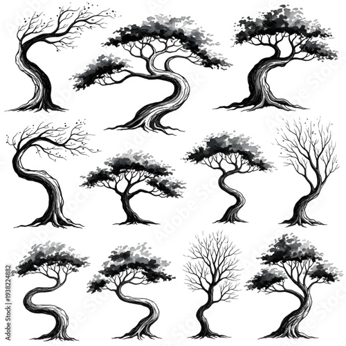 Ink Washed Bonsai Tree and Winter Branch Sketches, Hand Drawn Botanical Illustrations with Artistic Shading and Texture Vector Set