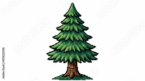 Stylized Evergreen Tree Illustration with Detailed Foliage.